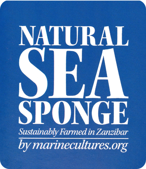 Natural Sea Sponge Zanzibar