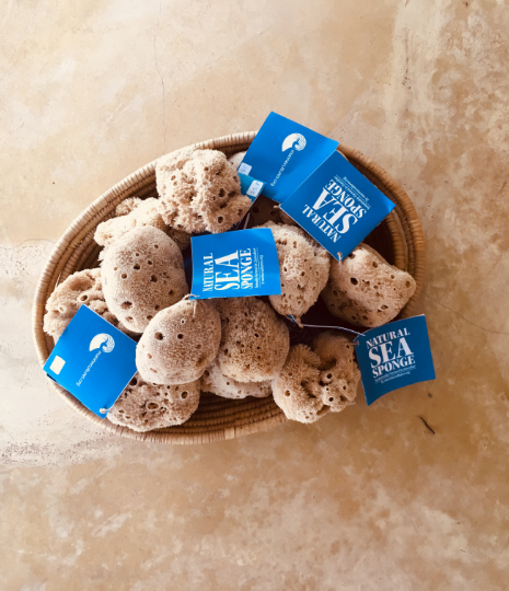 Natural Sea Sponge Zanzibar