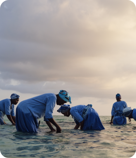 Natural Sea Sponge Zanzibar
