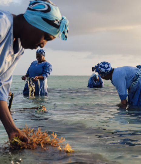 Natural Sea Sponge Zanzibar